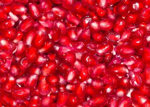 Pomegranate seeds background - macro view