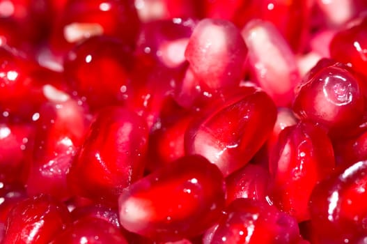 Pomegranate seeds background - macro view