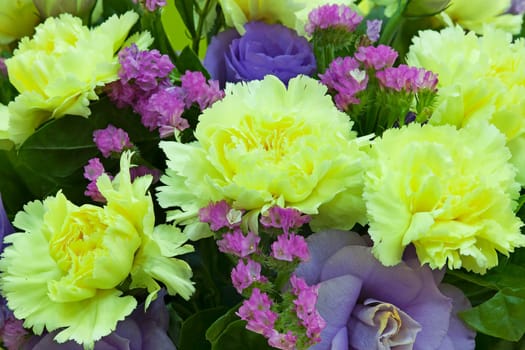 Eustoma flowers with nice background color