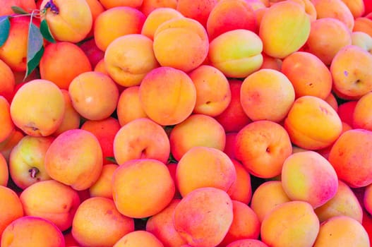 Orange apricot fruit - healthy vegetarian diet food - useful as a background