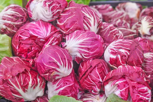 Red salad edible leaf lettuce vegetable food