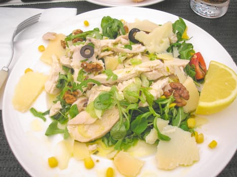 Detail of Chicken Salad in a dish with lemon slice, parmesan cheese, nuts and parsley