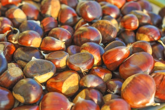 Many chestnuts useful as a food background