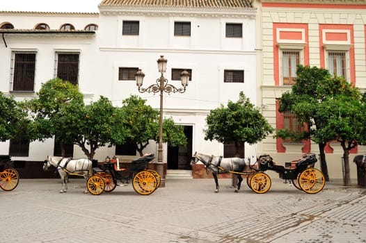 Top Seville Horse-drawn Carriages