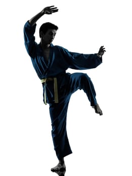 one asian young man exercising martial arts karate vietvodao in silhouette studio isolated on white background