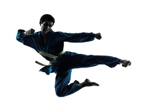 one asian young man exercising martial arts karate vietvodao in silhouette studio isolated on white background