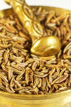 Caraway