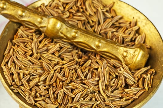Caraway