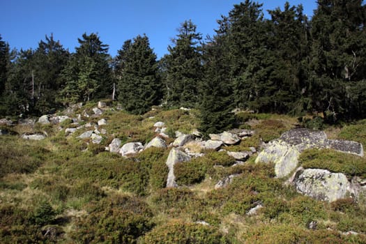 On the summit of the Brocken in the Harz Mountains