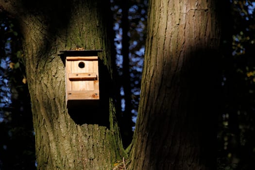 Bird nesting box on a tree