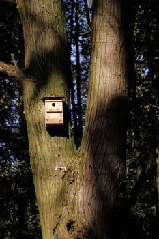 Bird nesting box on a tree