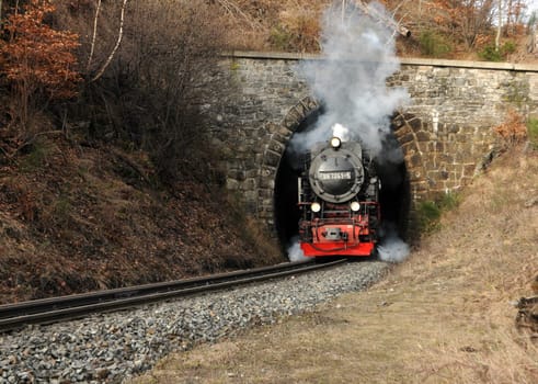 At the tunnel of the Harz Narrow Gauge Railway