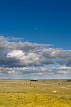 Vast plains of the Alentejo country in spring, Portugal