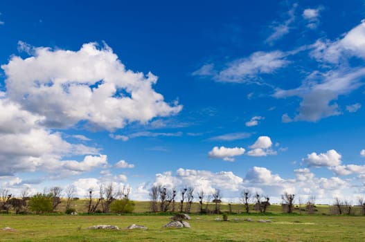 Vast plains of the Alentejo country in spring, Portugal
