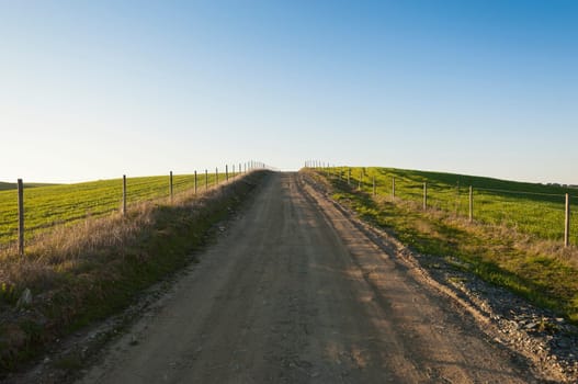 Deserted dirt road in the plain of Alentejo, Portugal