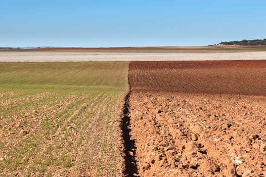 Ploughed fields in the vast plain of Alentejo, Portugal