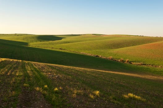 Rolling landscape in the fields of Alentejo, Portugal