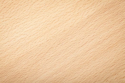 Beech wood texture for background. Natural plank macro shot