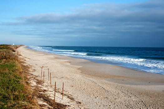 Cape Canaveral National Seashore in Florida in the Morning.