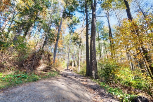 Fall in North Carolina