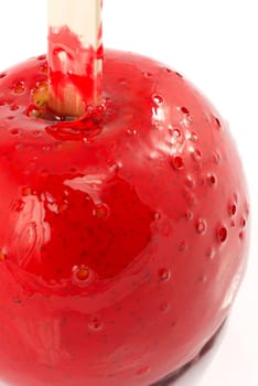 fruit