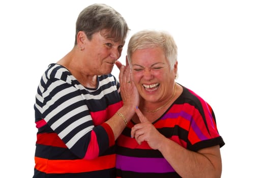 Two senior citizens communicate with each other . Isolated on white background