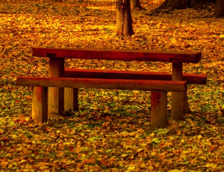 Beautiful colors of autumn landscape with bench