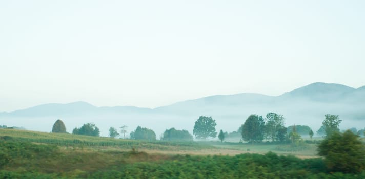 foggy landscape with mountain