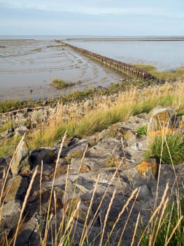 View of the Buhen on the German North Sea coast near the town of Bensersiel / Lower Saxony