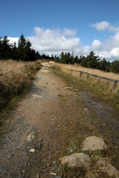 On the summit of the Brocken (Upper Harz)
