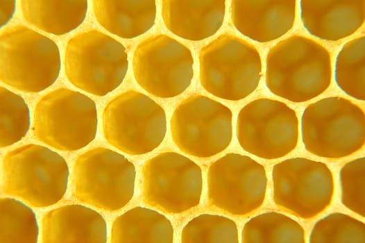 Honeycomb