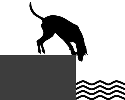 Dog on the shore