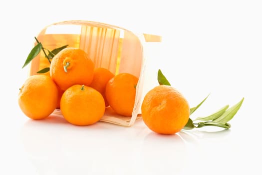 Tangerines