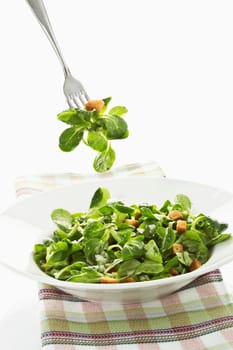 Corn salad
