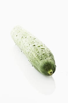 Cucumber