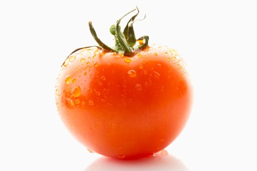 Tomato
