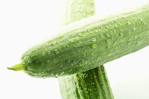 Cucumber