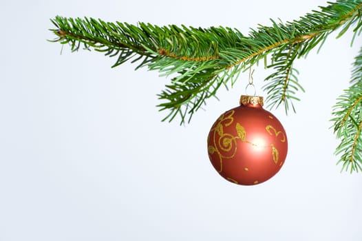 Christmas Tree Bubble