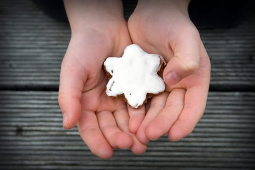 Star-shaped cinnamon biscuit in children's hand