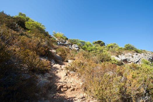 rocky scrubby landscape from vis island (croatia)