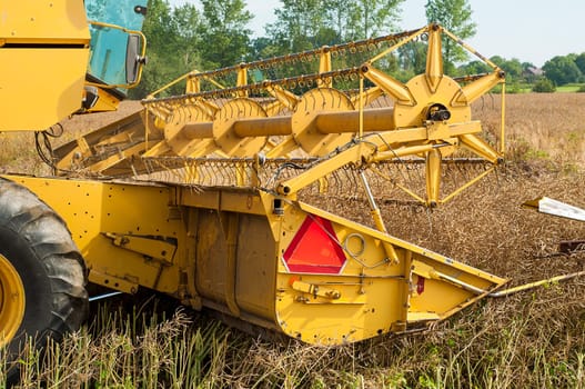 An image of combine harvesting rape