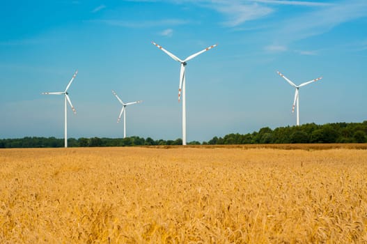 Windturbines in the summer time.
