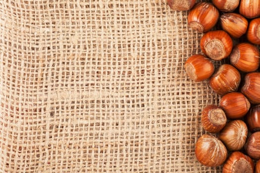 Whole unshelled hazelnuts on burlap sack with copy space