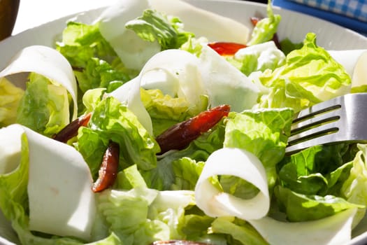 Fresh salad with lettuce, dates and parsnips, or jicama
