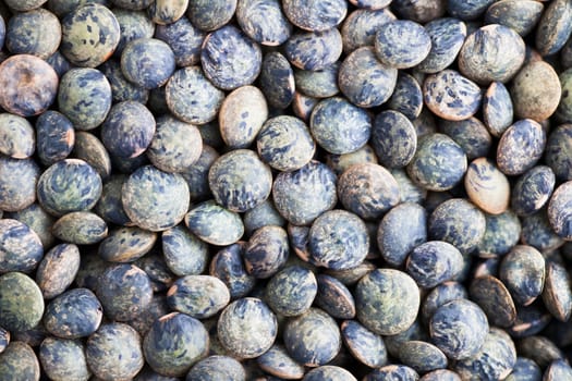 Close-up of green lentils great for healthy food background or texture