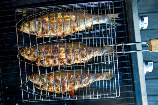 grilled fishes