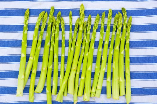 Fresh Green Asparagus