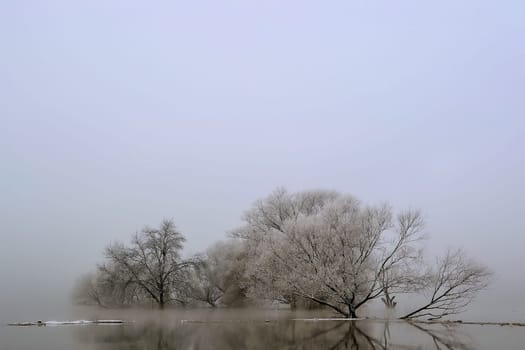 River landscape during floods