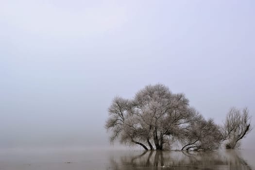 Flood