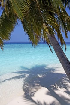 Holiday feeling on a Maldives island